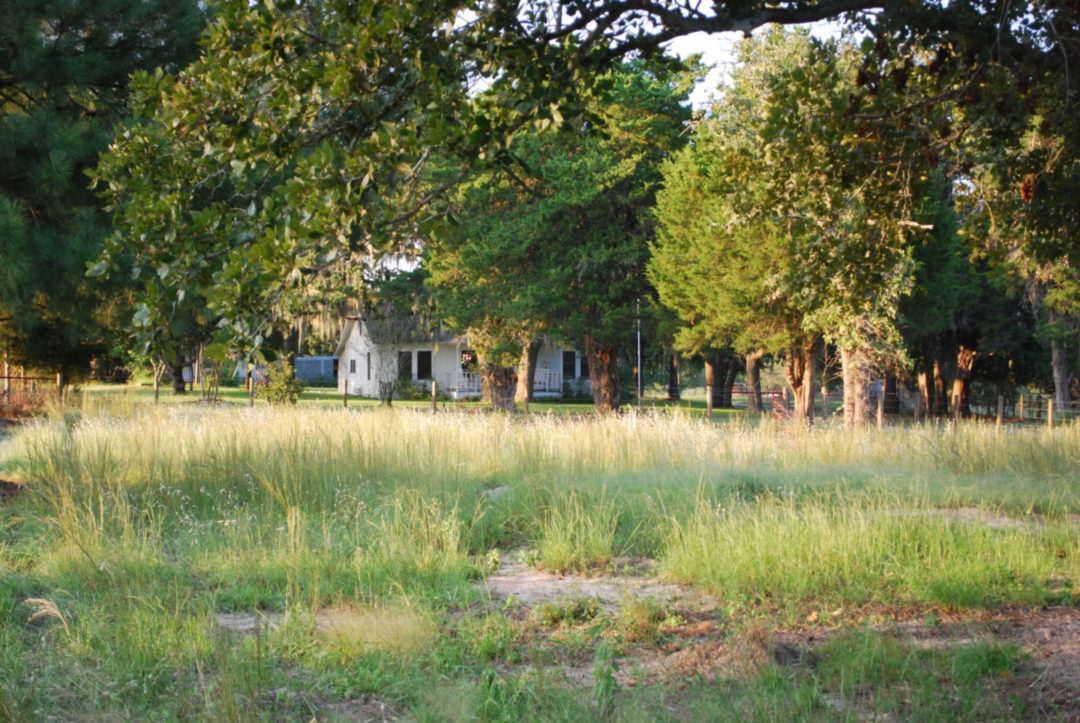 Navasota House view from front pasture