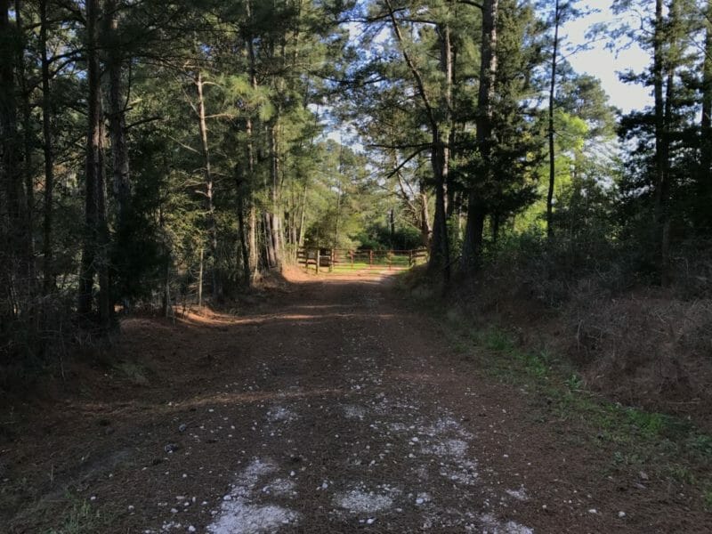 Navasota Driveway 