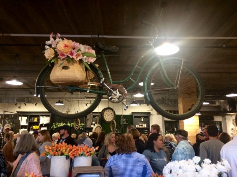 Magnolia Bike Display