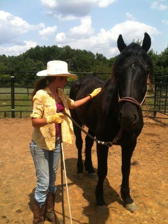 BLM mustang process of handling