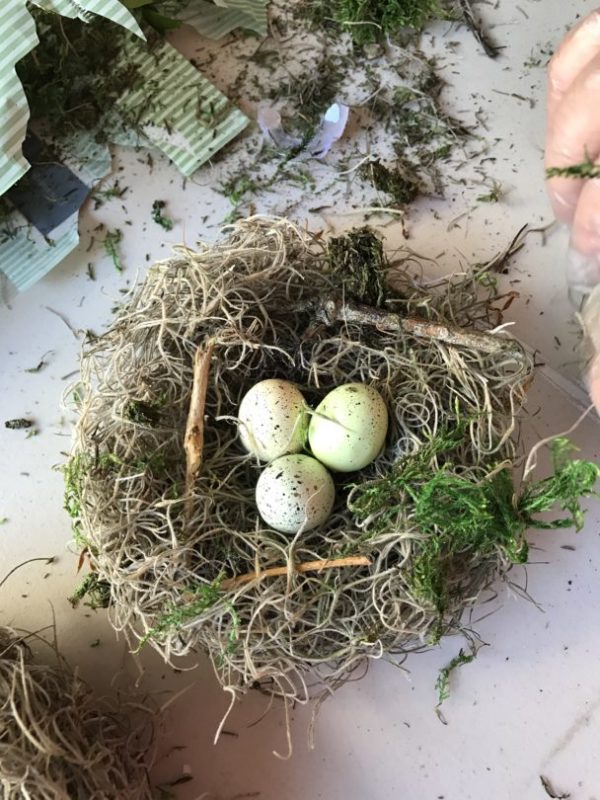 Making nests with Spanish Moss DIY