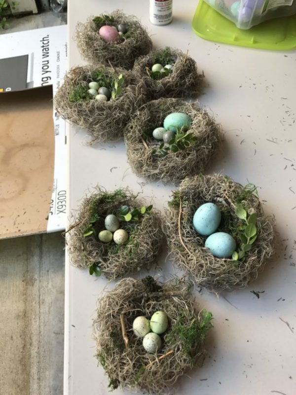 How to make nests with Spanish Moss