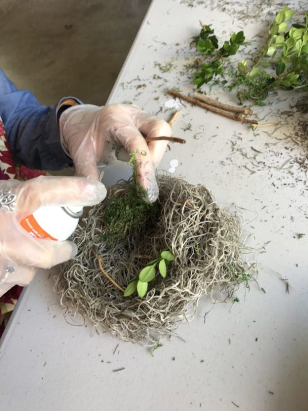 adding twigs and moss to nests