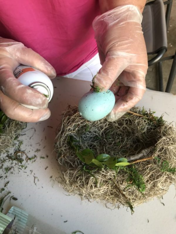 How to make nests with spanish moss and eggs