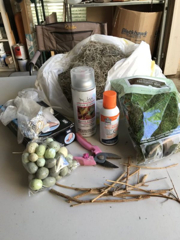 Supplies to make a nest with spanish moss