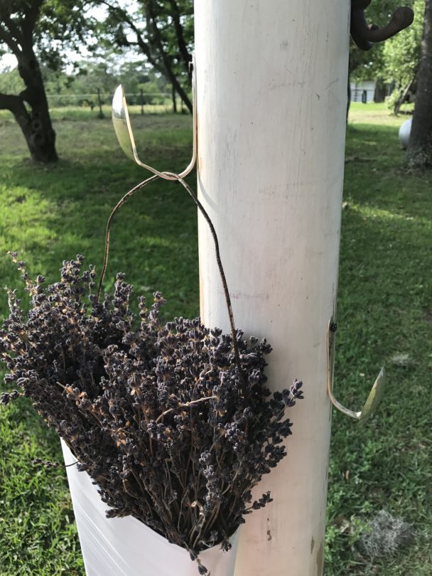 Antique column with silver spoons and lavender