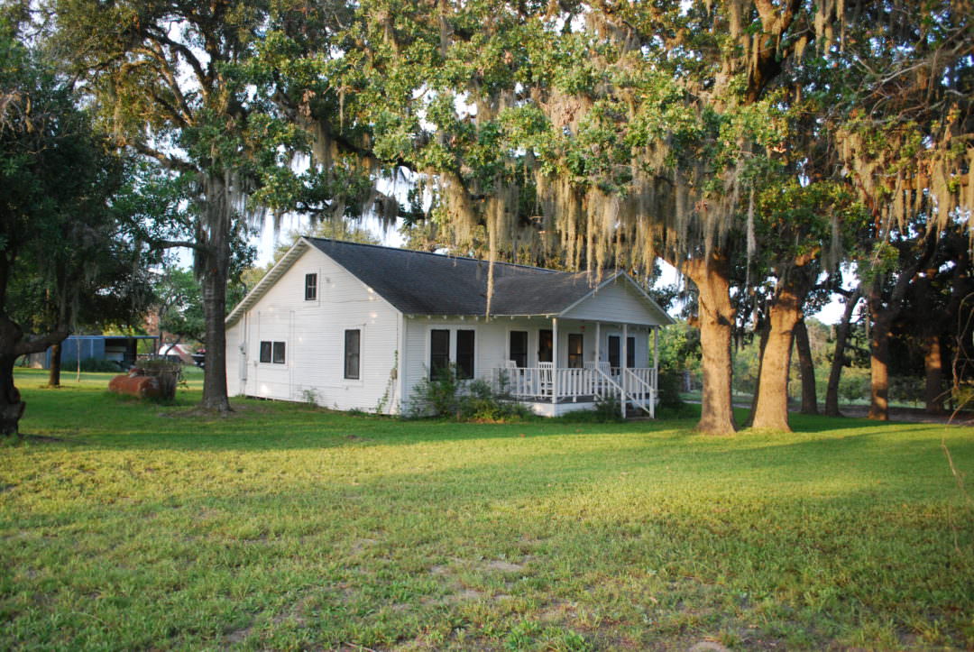 Farmhouse porch with moss covered trees and a pasture view