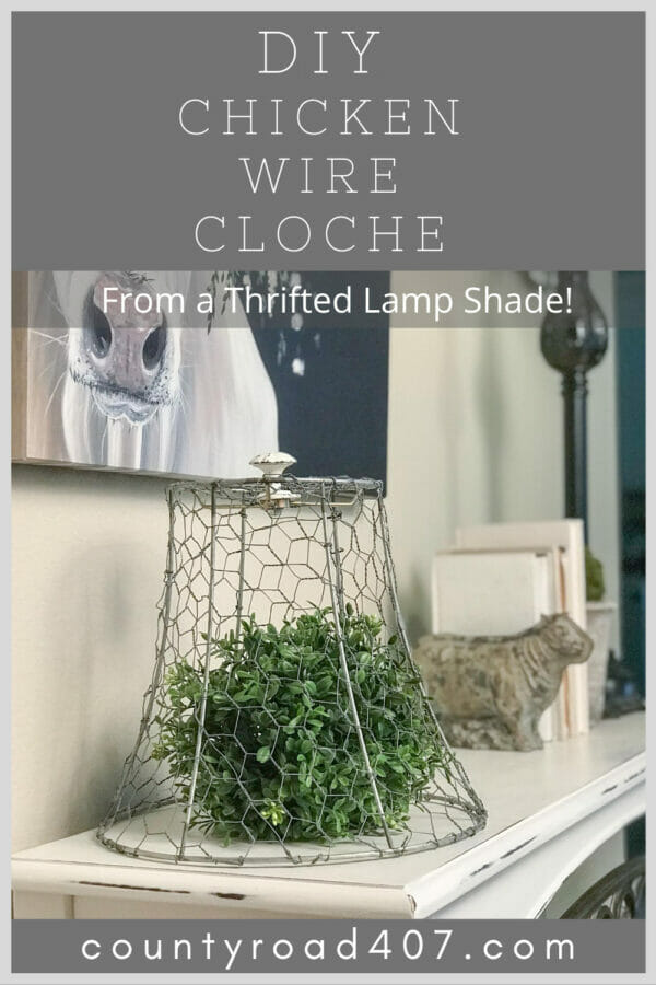 chicken wire cloche pinterest graphic