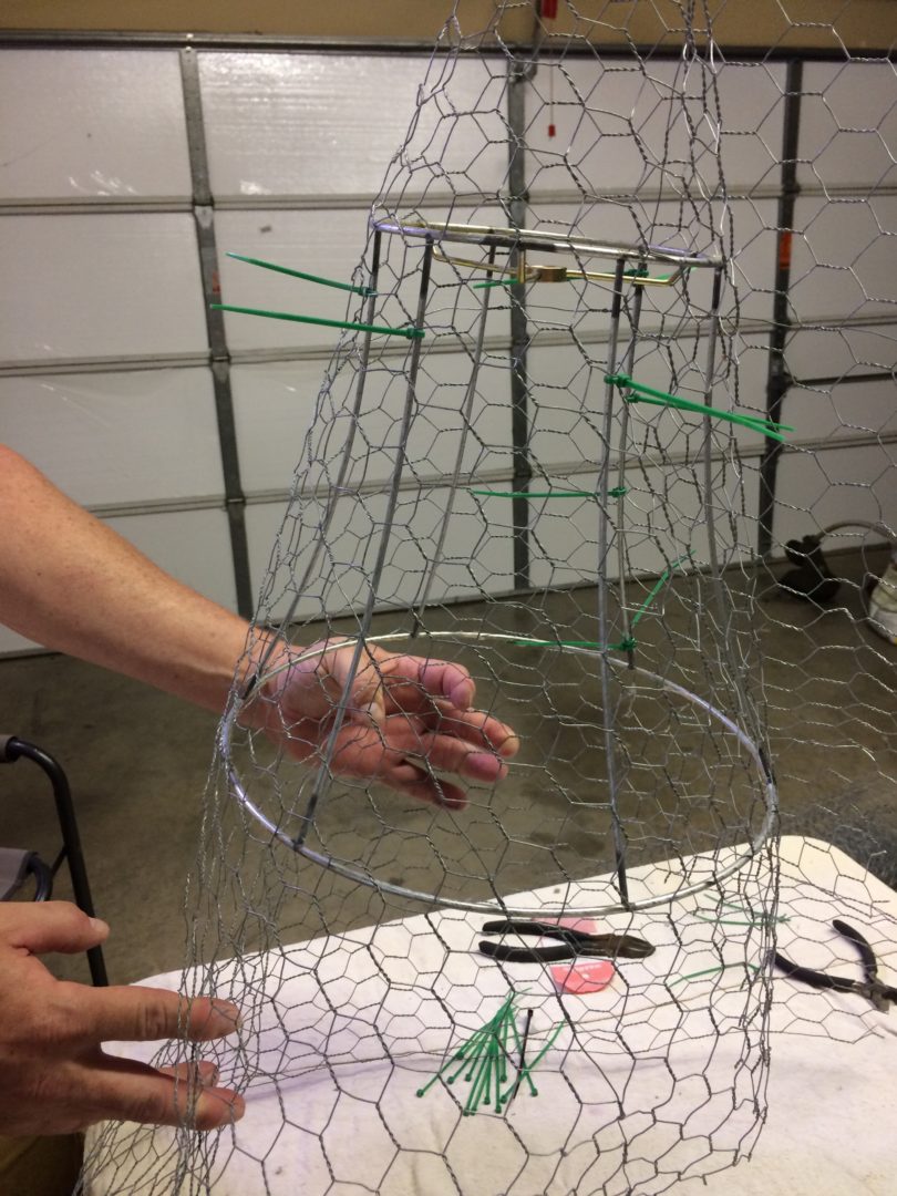 step 2 of making a chicken wire cloche