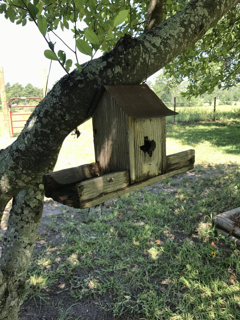 Texas hole birdhouse 