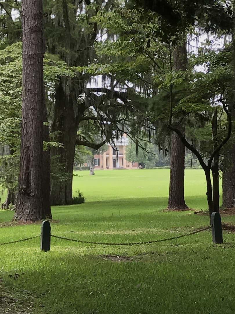 The Melrose Plantation view of the grounds from the front gate