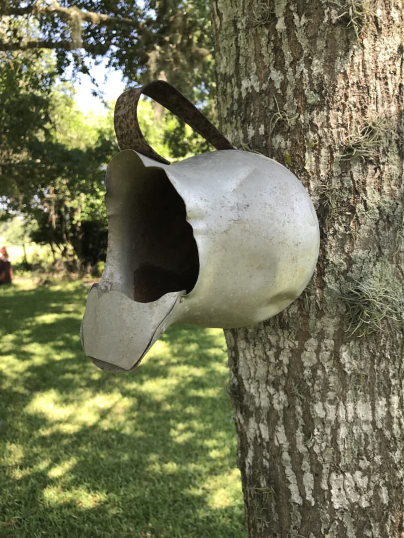 vintage pitcher mounted to a tree trunk to be used as a birdhouse