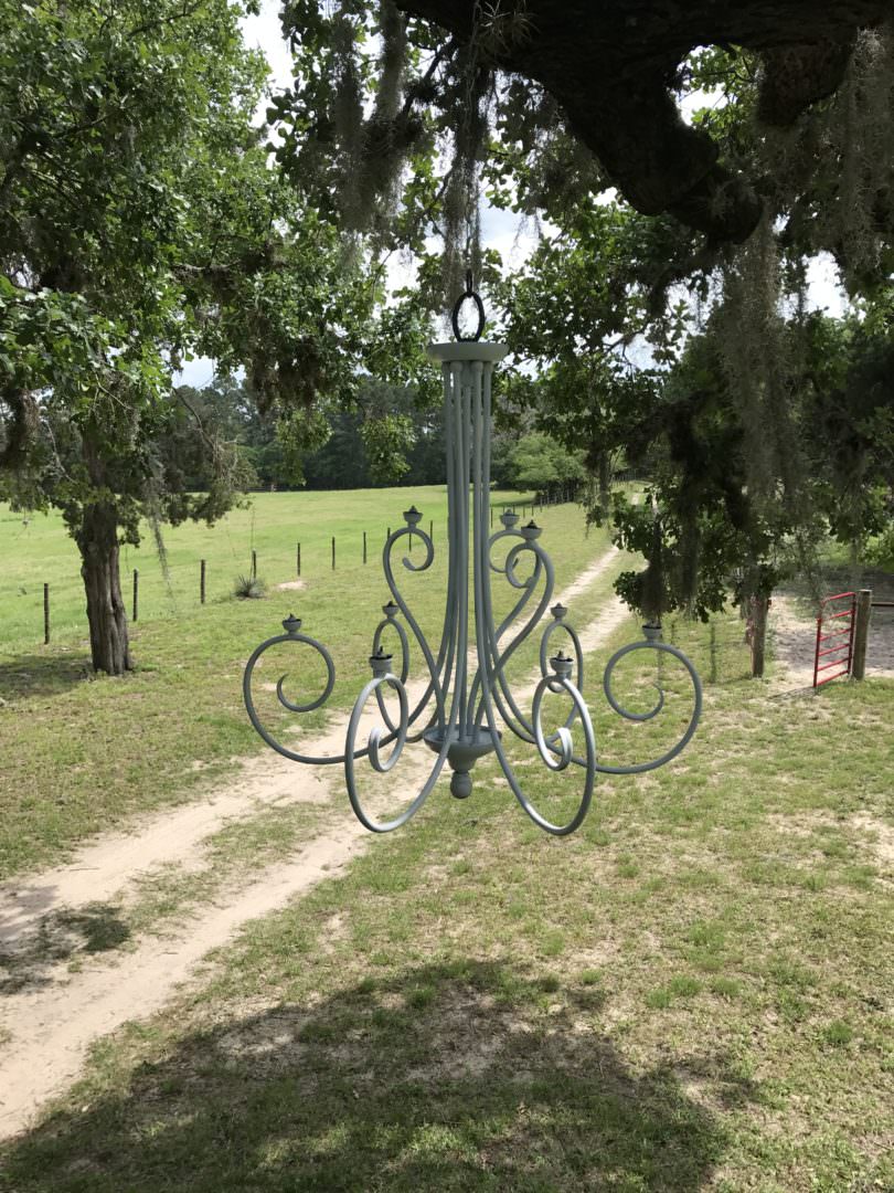 chandelier hanging with trees covered in Spanish moss 