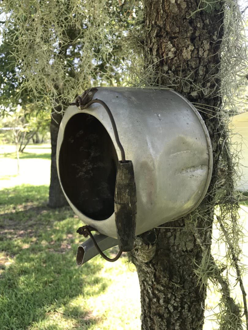 vintage tea pot used as a birdhouse