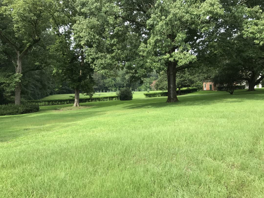 This is the view of the side yard and garden area from the Melrose Mansion main house