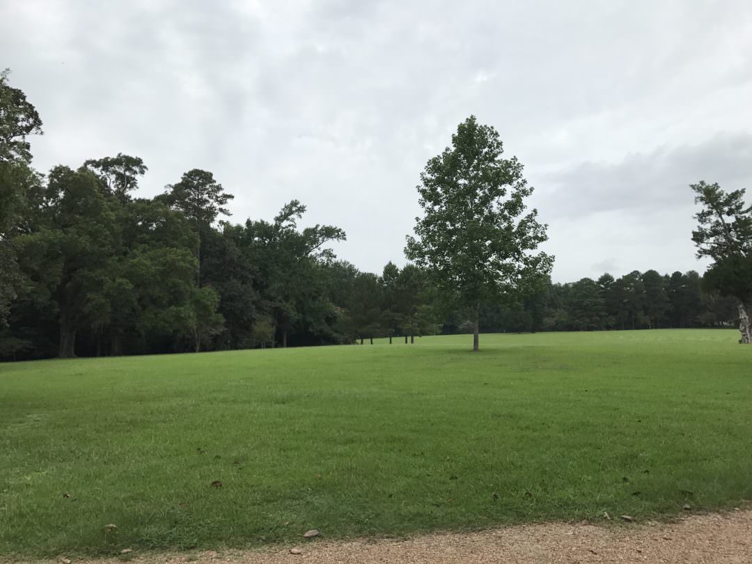 Front lawn of the Melrose Mansion in Natchez Mississippi