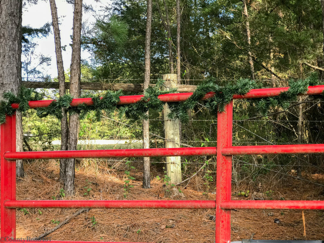 Easiest way to make fresh garland by countyroad407.com