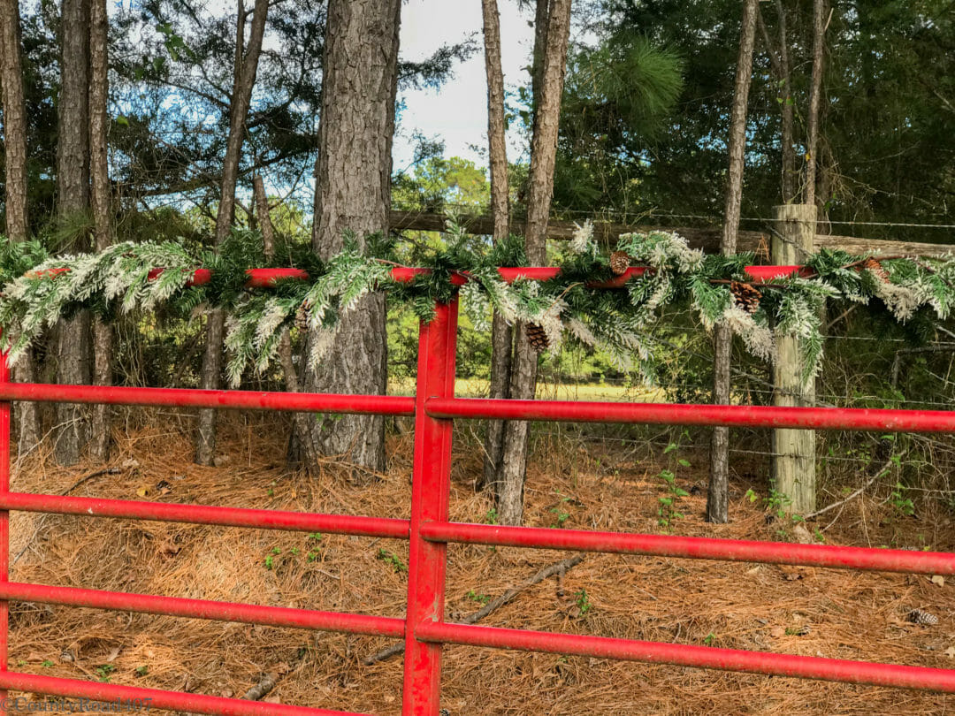 The easiest way to make fresh garland for a front gate by Countyroad407.com