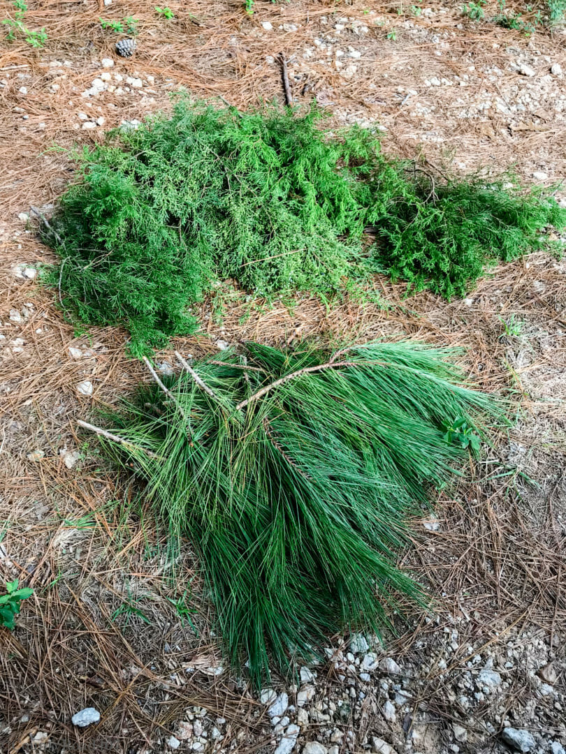 cedar and pine clippins for fresh garland