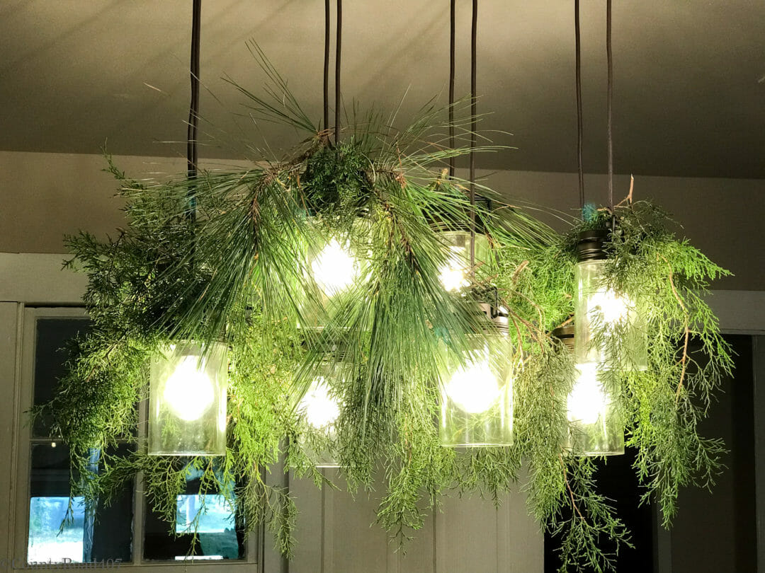 Dining light fixture with fresh greenery hanging on glass globes