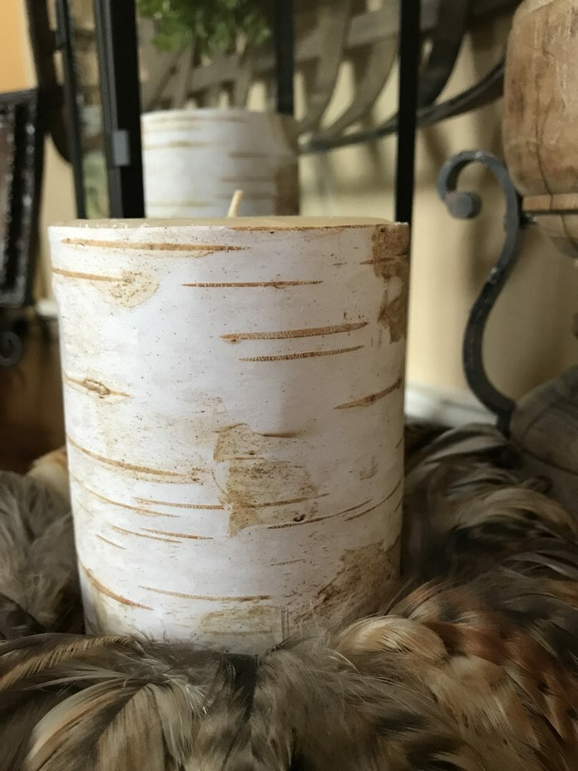 Birch Bark Candle DIY from CountyRoad407.com