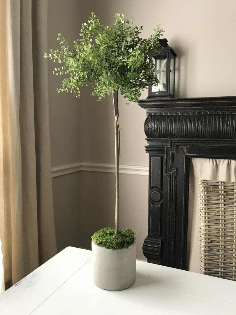 CountyRoad407 makes her own topiary. Here's a DIY