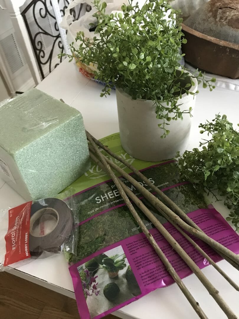 supplies needed to make your own topiaries