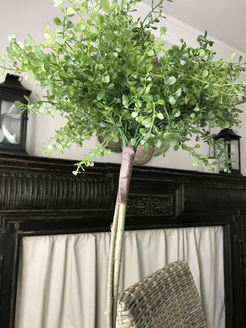 Topiary tops in front of mantel