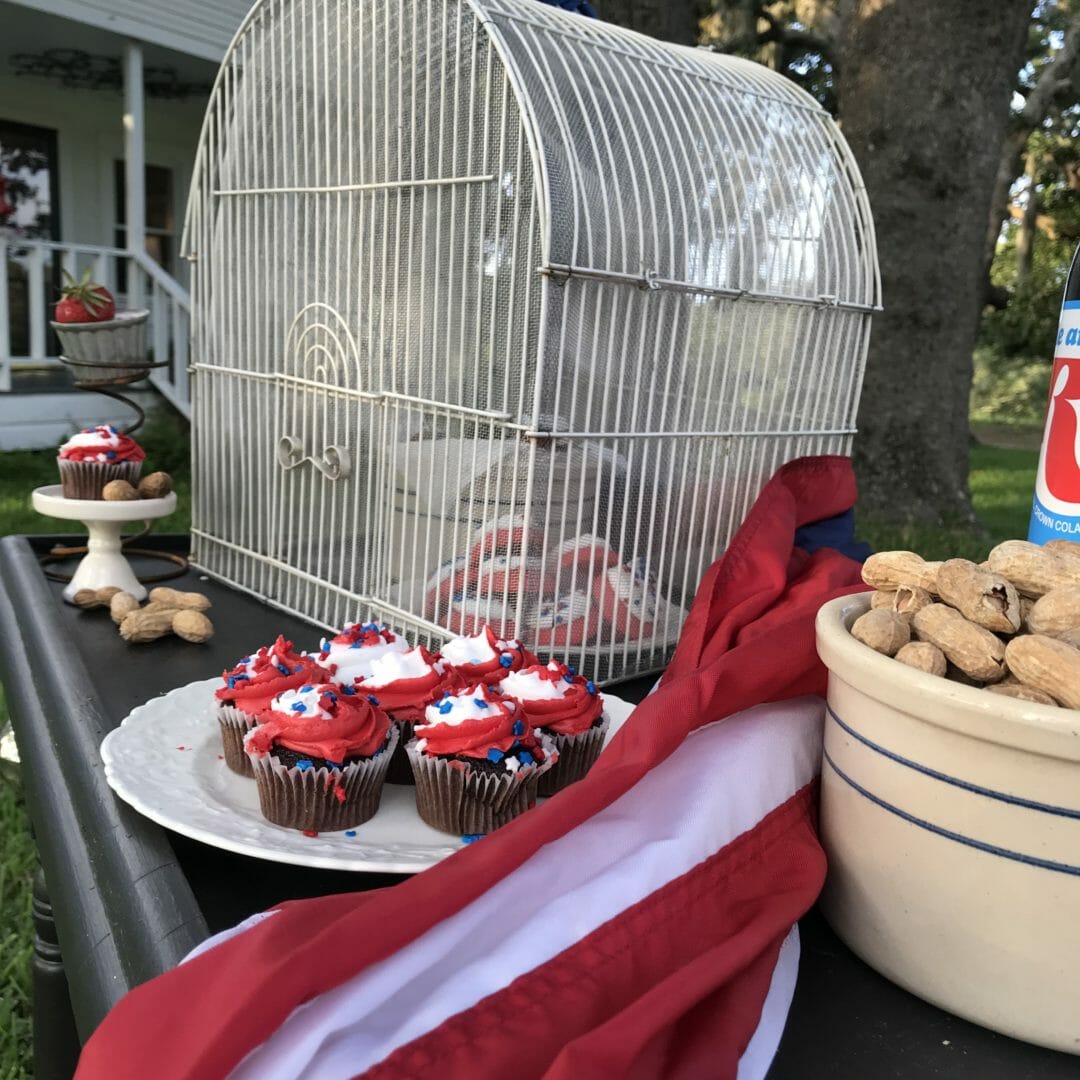 Vintage birdcage made into a food tent by CountyRoad407.com