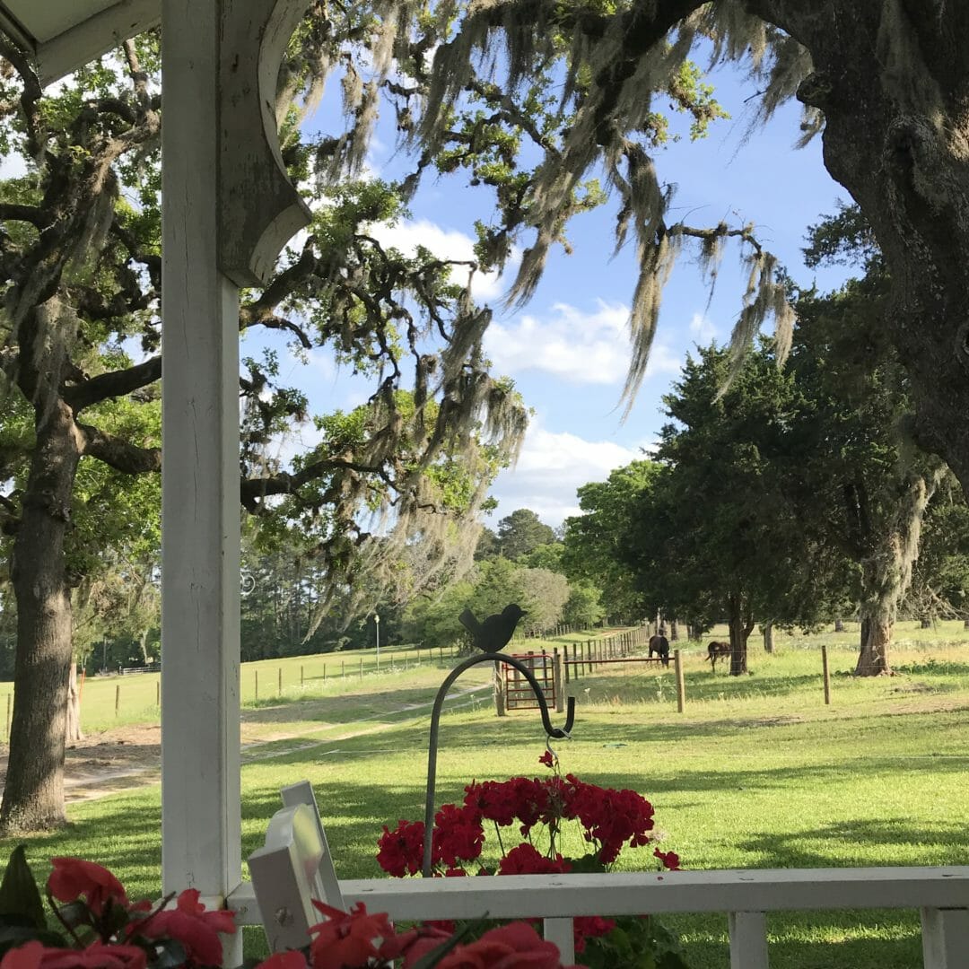 front porch view with animals for a spring tour by countyroad407.com