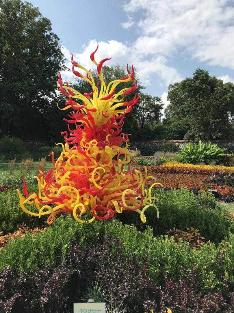 In the Walled Garden at the Biltmore, NC is the Chihuly Exhibit by CountyRoad407.com