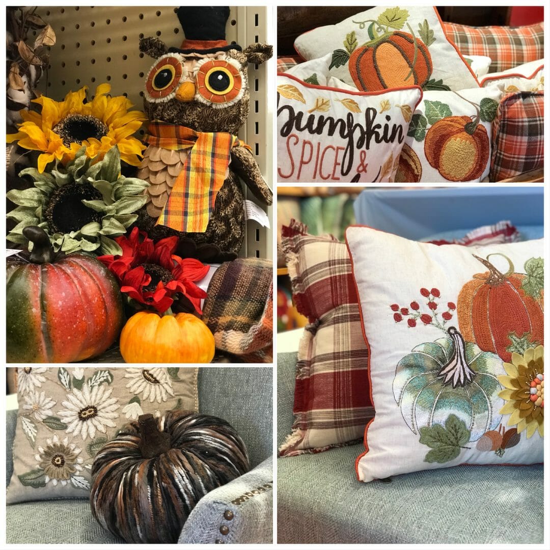 Colorful fall finds the fall by CountyRoad407.com
