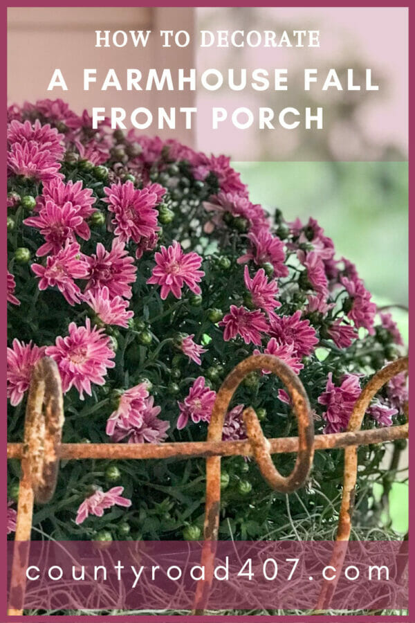 purple mum in rusty plant stand