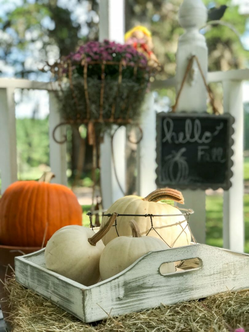 PUmpkins and mums are the perfect fall look on a farmhouse front porch. CountyRoad407.com
