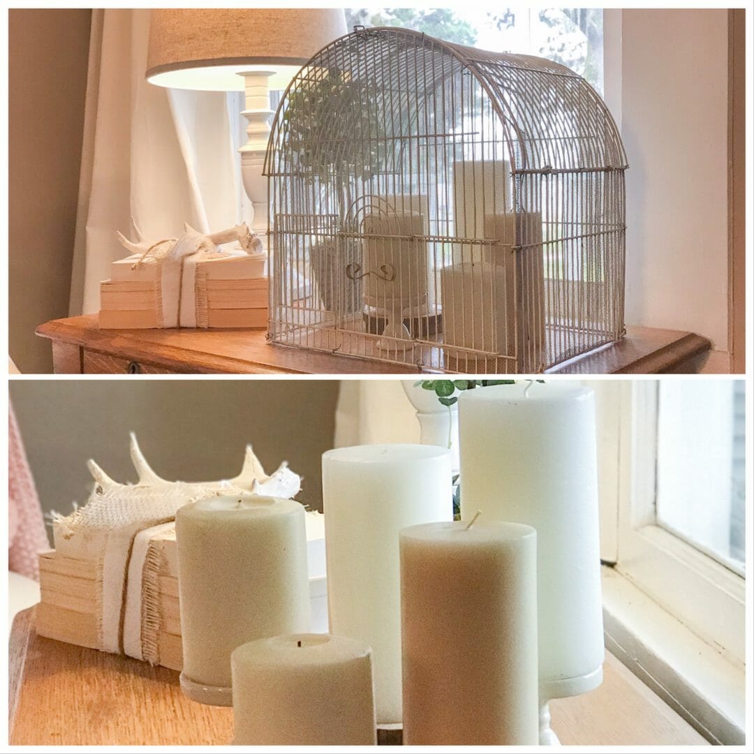 Using a vintage birdcage as a cloche for spring by CountyRoad407.com #vintagebirdcage #clocheideas #springdecoratingideas #springdecor #vintagedecorating #vintagebirdcage #countyroad407