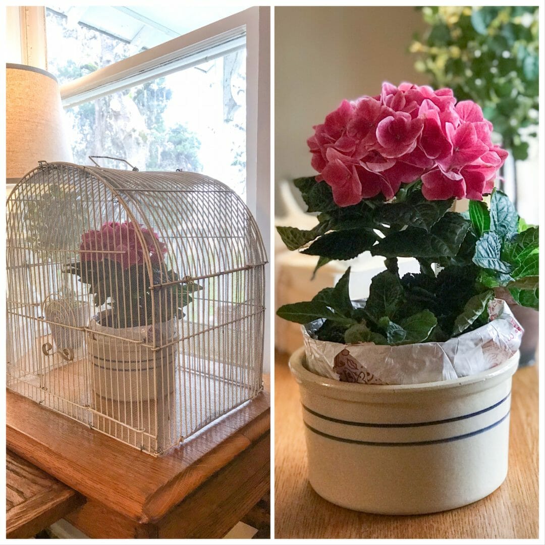 Using a vintage birdcage as a cloche for spring by CountyRoad407.com #vintagebirdcage #clocheideas #springdecoratingideas #springdecor #vintagedecorating #vintagebirdcage #countyroad407