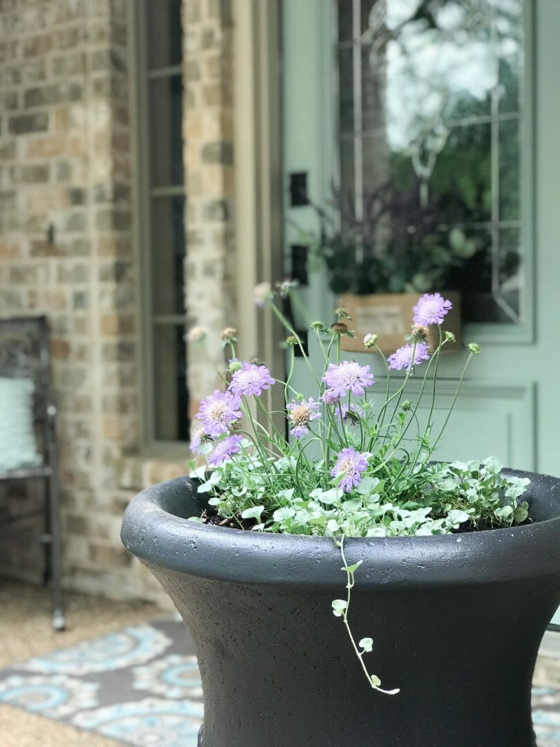 Our frontyard and porchette refresh by CountyRoad407.com #Springporch #Springdecor #yard #porchette #porchdecor #springrefresh #countyroad407