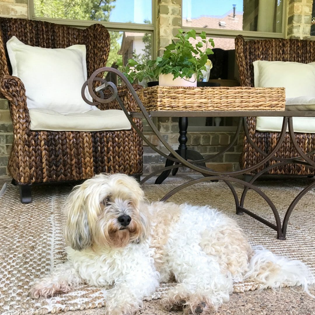 A Back porch refresh and Summer blog hop by CountyRoad407.com #summerpatio #summerdecorating #patio #patiodecorating #backporch