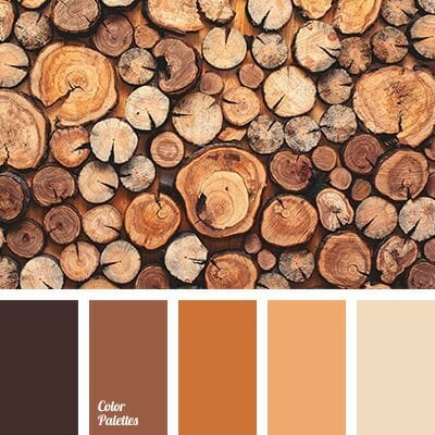 10 fall color combinations to get us excited about fall gathered by CountyRoad407.com #fall #fallcolors #fallcolorideas 