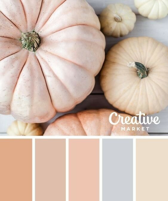 fall color combinations to get us excited about fall gathered by CountyRoad407.com #fall #fallcolors #fallcolorideas