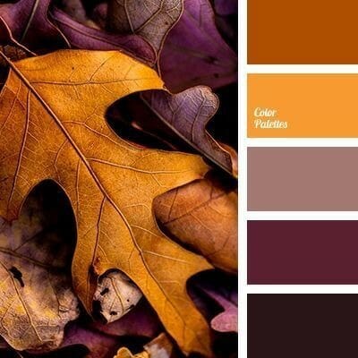 10 fall color combinations to get us excited about fall gathered by CountyRoad407.com #fall #fallcolors #fallcolorideas 