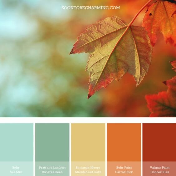 10 fall color combinations to get us excited about fall gathered by CountyRoad407.com #fall #fallcolors #fallcolorideas 