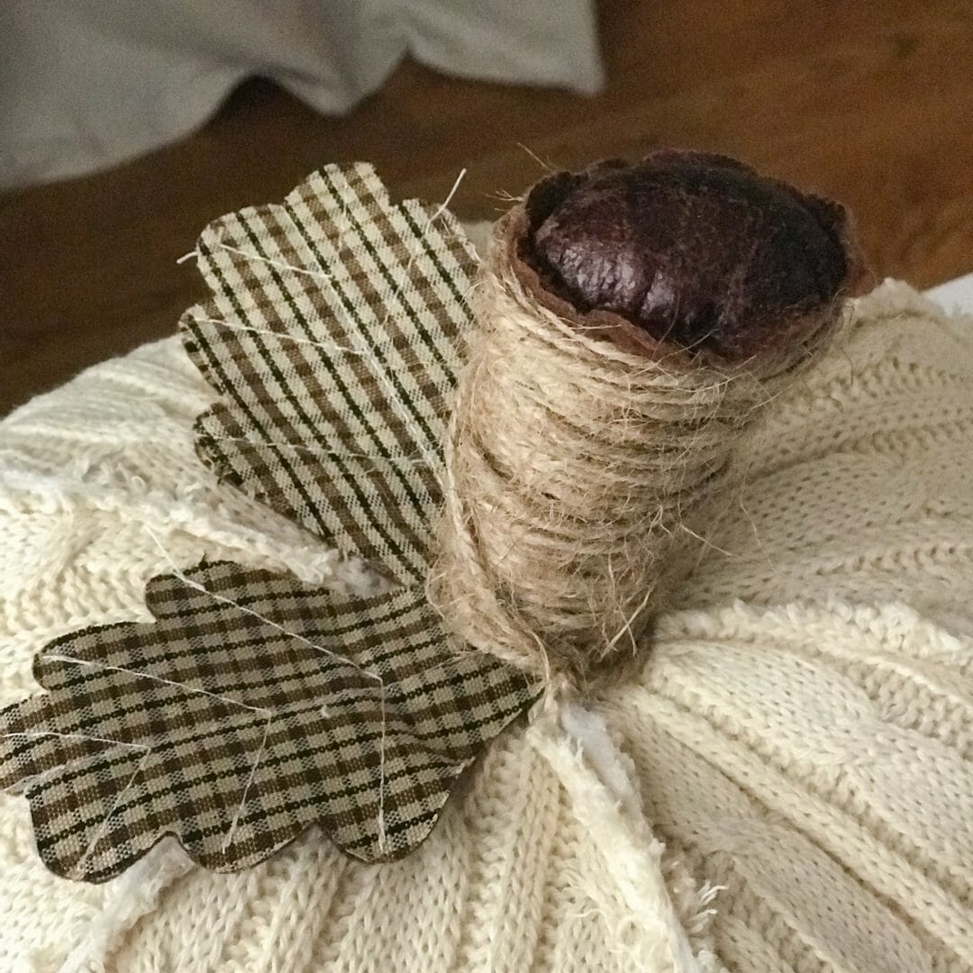 close up of pumpkin stem with leaves and twine