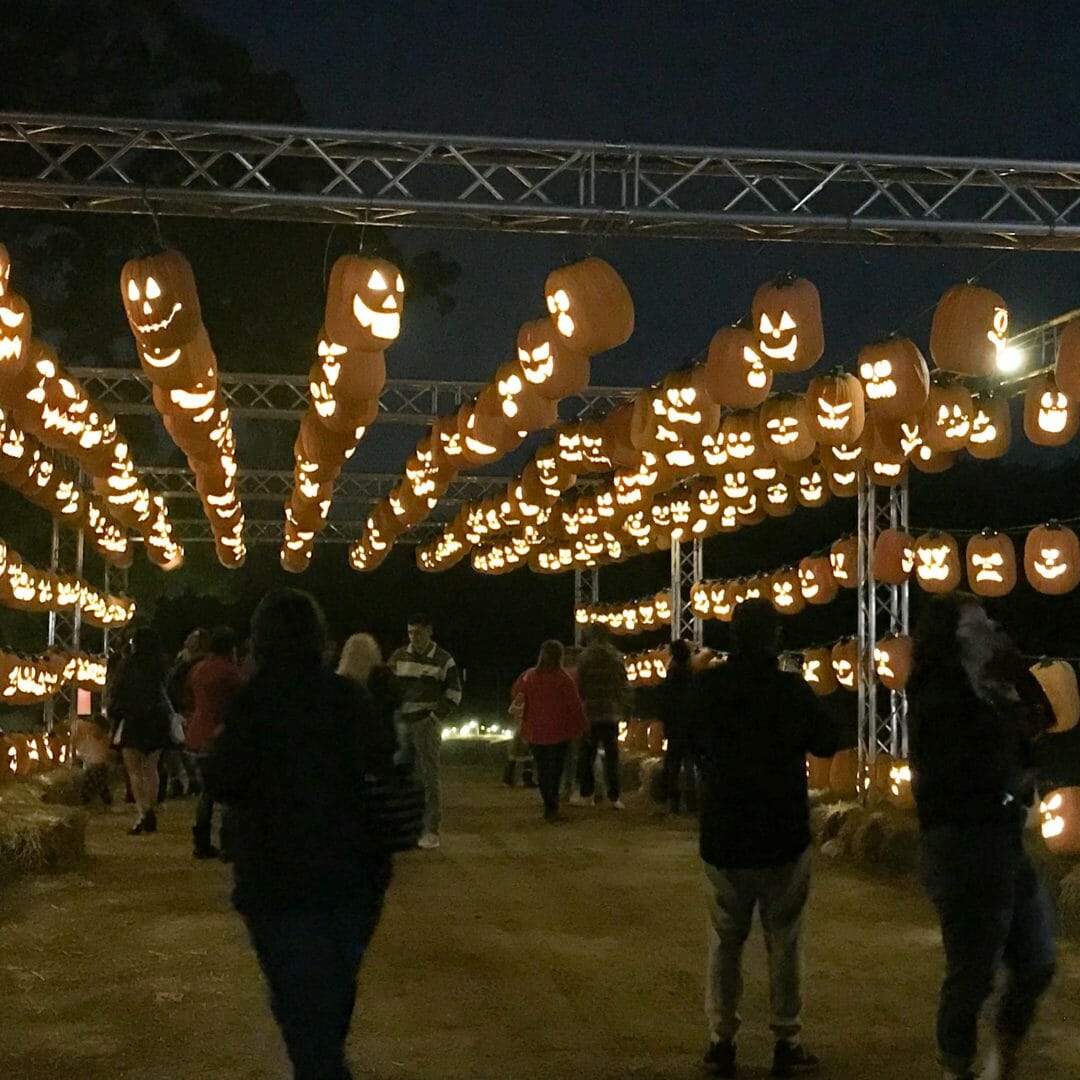 Entrance to Pumpkin Nights 