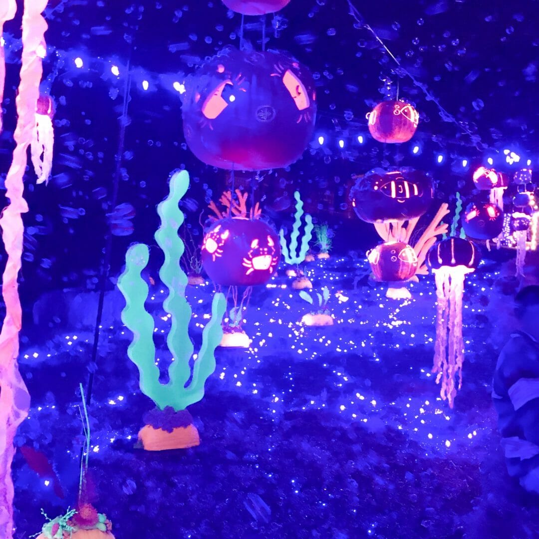 Under the Sea pumpkin Nights