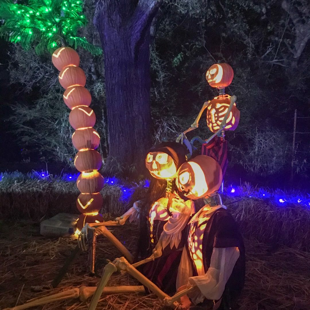 pirate skeletons and pumpkin tree