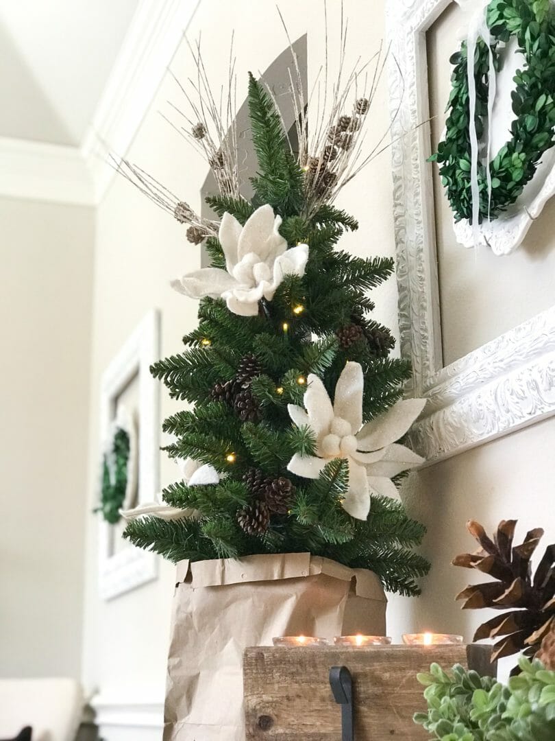 tree with bag and pinecone in corner