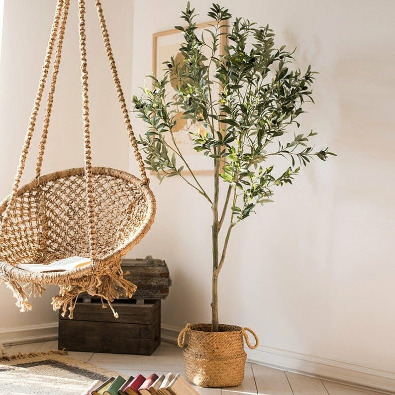 olive tree with hanging swing chair and trunk