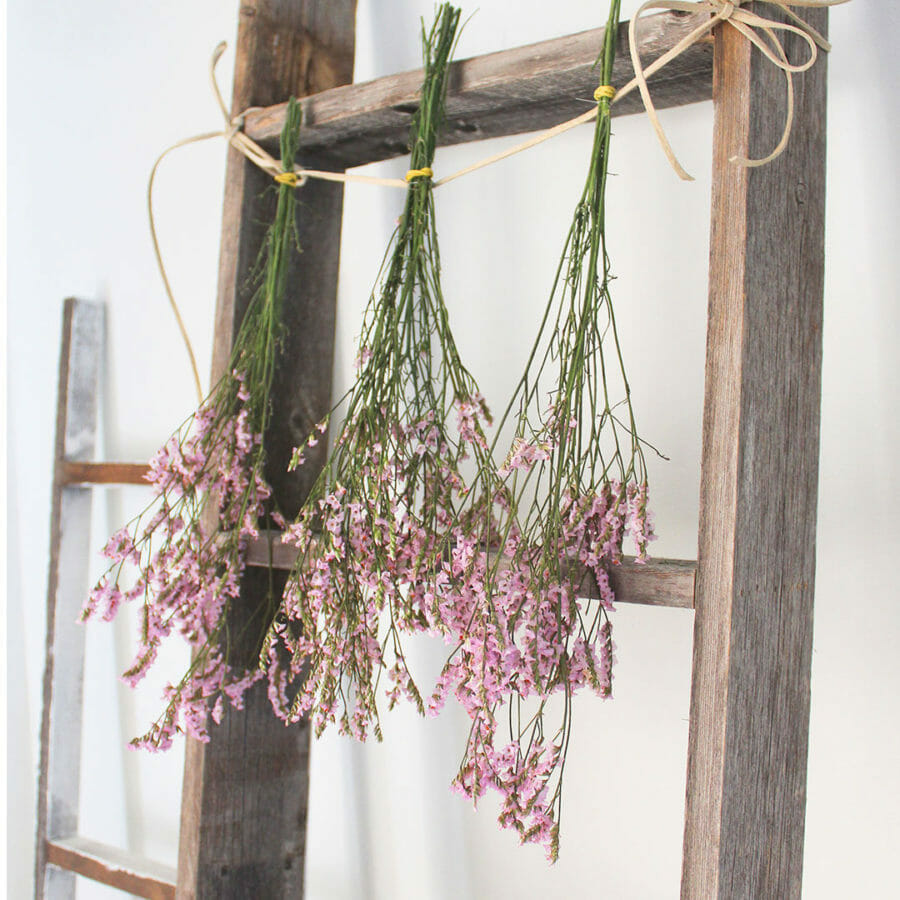 flowers hanging on a ladder