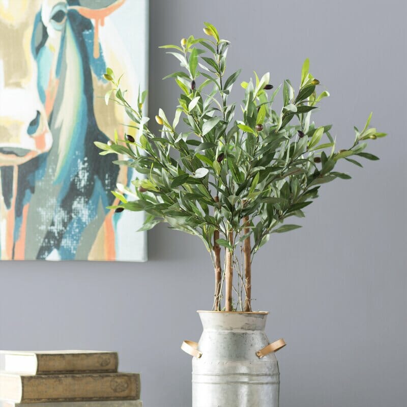 olive tree in milk jug with books and artwork